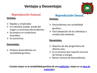 Ventajas y Desventajas

    Reproducción Asexual.                      Reproducción Sexual.
Ventajas.                                Ventajas.

 Rapidez y simplicidad.                  Descendientes con variabilidad
 Un individuo aislado puede dar
                                           genética.
  origen a numerosos descendientes.
 Se produce en condiciones               Fácil adaptación de los individuas a
  favorables.                              cambios del ambiente.
 Es económica.
                                         Desventajas.
Desventajas.
                                          Requiere de dos progenitores de
 Produce descendientes sin                distinto sexo.
  variabilidad genética.                  Es un proceso que requiere recursos
                                           de tiempo y energía.
                                          Menor número de descendientes.


  «Cuanto mayor es la variabilidad genética de una población, mayor es su tasa de
                                    evolución»
 