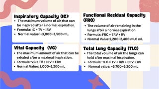 PPT-Respiratory-System_Anaphy_Lecture.pdf