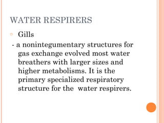 WATER RESPIRERS
o Gills
- a nonintegumentary structures for
  gas exchange evolved most water
  breathers with larger sizes and
  higher metabolisms. It is the
  primary specialized respiratory
  structure for the water respirers.
 