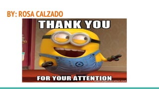 BY: ROSA CALZADO
 