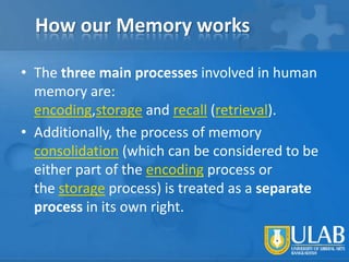 How our Memory works
• The three main processes involved in human
memory are:
encoding,storage and recall (retrieval).
• Additionally, the process of memory
consolidation (which can be considered to be
either part of the encoding process or
the storage process) is treated as a separate
process in its own right.

 