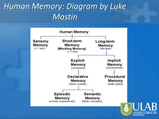 Human Memory: Diagram by Luke
Mastin

 