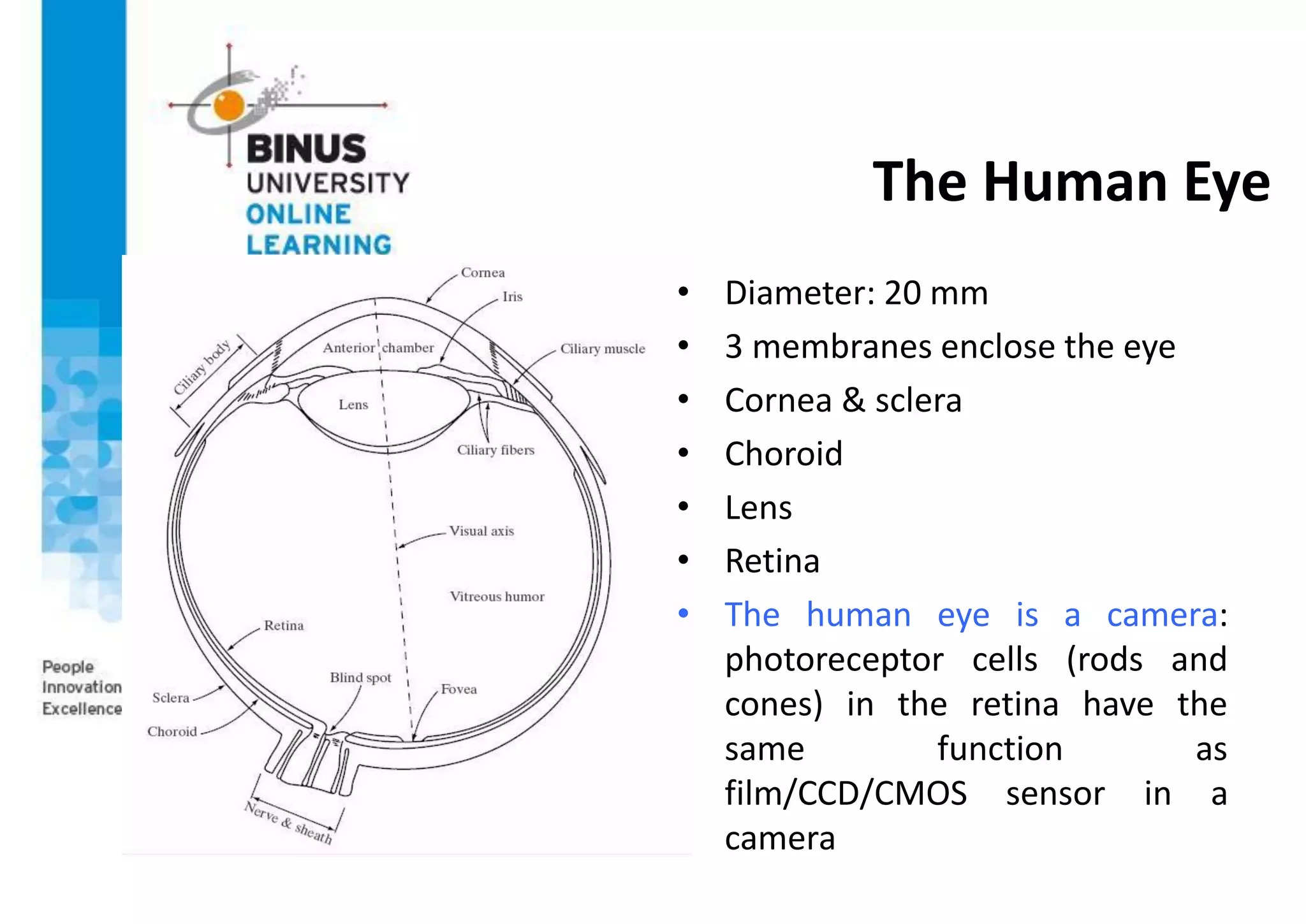 The Human Eye
• Diameter: 20 mm
• 3 membranes enclose the eye
• Cornea & sclera
• Choroid
• Lens
• Retina
• The human eye is a camera:
photoreceptor cells (rods and
cones) in the retina have the
same function as
film/CCD/CMOS sensor in a
camera
 