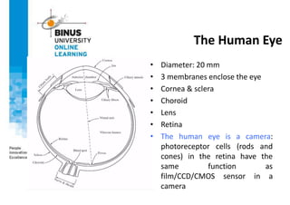 The Human Eye
• Diameter: 20 mm
• 3 membranes enclose the eye
• Cornea & sclera
• Choroid
• Lens
• Retina
• The human eye is a camera:
photoreceptor cells (rods and
cones) in the retina have the
same function as
film/CCD/CMOS sensor in a
camera
 