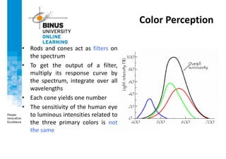 Color Perception
• Rods and cones act as filters on
the spectrum
• To get the output of a filter,
multiply its response curve by
the spectrum, integrate over all
wavelengths
• Each cone yields one number
• The sensitivity of the human eye
to luminous intensities related to
the three primary colors is not
the same
 