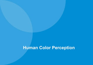 Human Color Perception
 