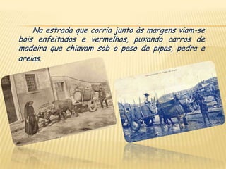 Na estrada que corria junto às margens viam-se
bois enfeitados e vermelhos, puxando carros de
madeira que chiavam sob o peso de pipas, pedra e
areias.
 