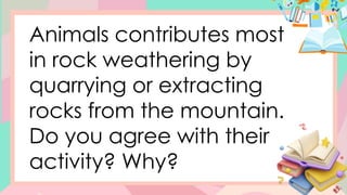 Animals contributes most
in rock weathering by
quarrying or extracting
rocks from the mountain.
Do you agree with their
activity? Why?
 