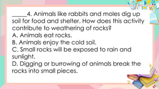 _____4. Animals like rabbits and moles dig up
soil for food and shelter. How does this activity
contribute to weathering of rocks?
A. Animals eat rocks.
B. Animals enjoy the cold soil.
C. Small rocks will be exposed to rain and
sunlight.
D. Digging or burrowing of animals break the
rocks into small pieces.
 