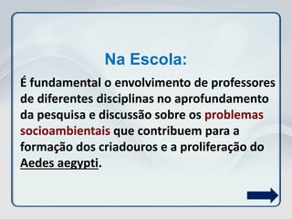 É fundamental o envolvimento de professores
de diferentes disciplinas no aprofundamento
da pesquisa e discussão sobre os problemas
socioambientais que contribuem para a
formação dos criadouros e a proliferação do
Aedes aegypti.
Na Escola:
 