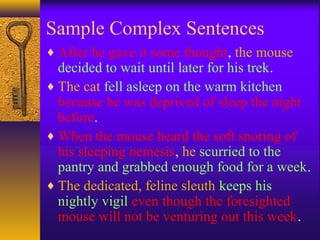 Sample Complex Sentences
♦ After he gave it some thought, the mouse
decided to wait until later for his trek.
♦ The cat fell asleep on the warm kitchen
because he was deprived of sleep the night
before.
♦ When the mouse heard the soft snoring of
his sleeping nemesis, he scurried to the
pantry and grabbed enough food for a week.
♦ The dedicated, feline sleuth keeps his
nightly vigil even though the foresighted
mouse will not be venturing out this week.
 