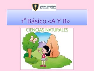 CIENCIAS NATURALES
1° Básico «A Y B»
 