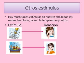Otros estímulos
• Hay muchísimos estímulos en nuestro alrededor, los
ruidos, los olores, la luz , la temperatura y otros.
• Estímulo Reacción
 