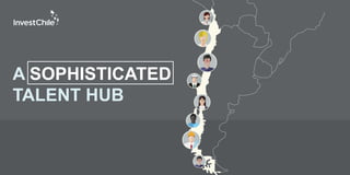 A SOPHISTICATED
TALENT HUB
 