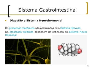 Sistema Gastrointestinal
 Digestão e Sistema Neurohormonal
Os processos mecânicos são controlados pelo Sistema Nervoso.
Os processos químicos dependem de estímulos do Sistema Neuro-
Hormonal.
10
 