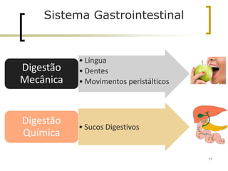Sistema Gastrointestinal
11
• Língua
• Dentes
• Movimentos peristálticos
Digestão
Mecânica
• Sucos Digestivos
Digestão
Química
 