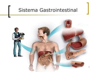 Sistema Gastrointestinal
2
 