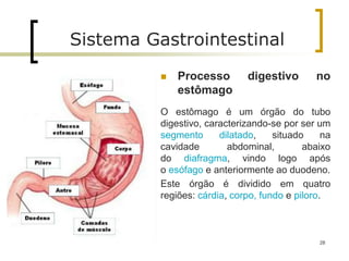  Processo digestivo no
estômago
O estômago é um órgão do tubo
digestivo, caracterizando-se por ser um
segmento dilatado, situado na
cavidade abdominal, abaixo
do diafragma, vindo logo após
o esófago e anteriormente ao duodeno.
Este órgão é dividido em quatro
regiões: cárdia, corpo, fundo e piloro.
Sistema Gastrointestinal
28
 