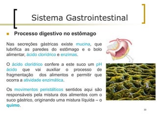  Processo digestivo no estômago
Nas secreções gástricas existe mucina, que
lubrifica as paredes do estômago e o bolo
alimentar, ácido clorídrico e enzimas.
O ácido clorídrico confere a este suco um pH
ácido que vai auxiliar o processo de
fragmentação dos alimentos e permitir que
ocorra a atividade enzimática.
Os movimentos peristálticos sentidos aqui são
responsáveis pela mistura dos alimentos com o
suco gástrico, originando uma mistura líquida – o
quimo.
Sistema Gastrointestinal
30
 