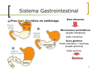 Processo digestivo no estômago
Sistema Gastrointestinal
31
Ação mecânica
Ação química
 