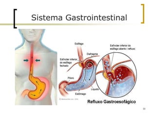 Sistema Gastrointestinal
33
 