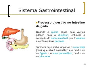 Processo digestivo no intestino
delgado
Quando o quimo passa pela válvula
pilórica para o duodeno, estimula a
secreção do suco intestinal que é alcalino
e contém várias enzimas.
Também aqui serão lançados o suco biliar
(bile), que não é enzimático e é produzido
no fígado e o suco pancreático, produzido
no pâncreas.
35
Sistema Gastrointestinal
 
