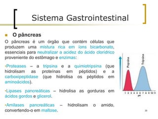  O pâncreas
O pâncreas é um órgão que contém células que
produzem uma mistura rica em íons bicarbonato,
essenciais para neutralizar a acidez do ácido clorídrico
proveniente do estômago e enzimas:
•Proteases – a tripsina e a quimiotripsina (que
hidrolisam as proteínas em péptidos) e a
carboxipeptidase (que hidrolisa os péptidos em
aminoácidos).
•Lipases pancreáticas – hidrolisa as gorduras em
ácidos gordos e glicerol.
•Amilases pancreáticas – hidrolisam o amido,
convertendo-o em maltose.
Sistema Gastrointestinal
39
 