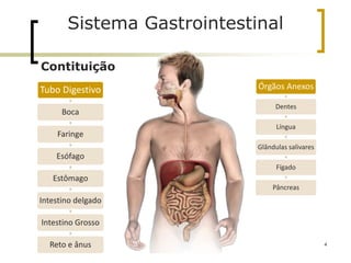 Sistema Gastrointestinal
4
Contituição
Tubo Digestivo
Boca
Faringe
Esófago
Estômago
Intestino delgado
Intestino Grosso
Reto e ânus
Órgãos Anexos
Dentes
Língua
Glândulas salivares
Fígado
Pâncreas
 