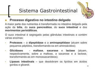  Processo digestivo no intestino delgado
A maior parte dos nutrientes é transformada no intestino delgado pela
ação da bílis, do suco pancreático, do suco intestinal e dos
movimentos peristálticos.
O suco intestinal é segregado pelas glândulas intestinais e contém
várias enzimas:
• Proteases – a dipeptidase e a aminopeptidase (atuam sobre
pequenos péptidos, transformando-os em aminoácidos);
• Glicidases - maltase, sacarase e lactase (atuam,
respectivamente, sobre a maltose, a sacarose e a lactose,
transformando-as em monossacarídeos);
• Lipases intestinais – que desdobram os lipídios em ácidos
gordos e glicerol. 40
Sistema Gastrointestinal
 