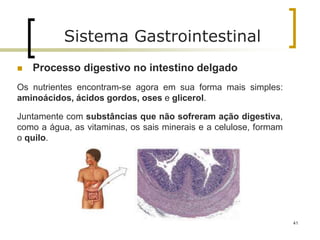  Processo digestivo no intestino delgado
Os nutrientes encontram-se agora em sua forma mais simples:
aminoácidos, ácidos gordos, oses e glicerol.
Juntamente com substâncias que não sofreram ação digestiva,
como a água, as vitaminas, os sais minerais e a celulose, formam
o quilo.
41
Sistema Gastrointestinal
 