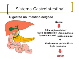 Digestão no Intestino delgado
42
Sistema Gastrointestinal
(Ação química)
(Ação química)
(Ação química)
Ação mecânica
 