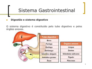  Digestão e sistema digestivo
O sistema digestivo é constituído pelo tubo digestivo e pelos
órgãos anexos.
Sistema Gastrointestinal
5
 