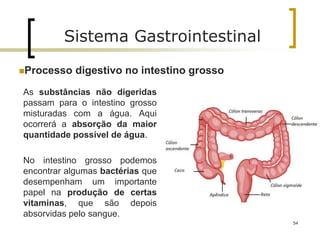 As substâncias não digeridas
passam para o intestino grosso
misturadas com a água. Aqui
ocorrerá a absorção da maior
quantidade possível de água.
No intestino grosso podemos
encontrar algumas bactérias que
desempenham um importante
papel na produção de certas
vitaminas, que são depois
absorvidas pelo sangue.
54
Sistema Gastrointestinal
Processo digestivo no intestino grosso
 