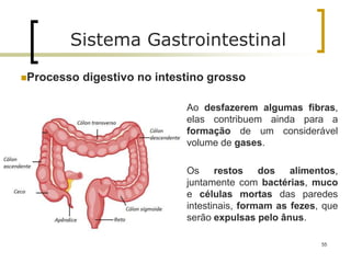 Ao desfazerem algumas fibras,
elas contribuem ainda para a
formação de um considerável
volume de gases.
Os restos dos alimentos,
juntamente com bactérias, muco
e células mortas das paredes
intestinais, formam as fezes, que
serão expulsas pelo ânus.
55
Sistema Gastrointestinal
Processo digestivo no intestino grosso
 