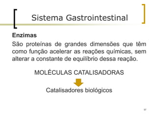 57
Sistema Gastrointestinal
Enzimas
São proteínas de grandes dimensões que têm
como função acelerar as reações químicas, sem
alterar a constante de equilíbrio dessa reação.
MOLÉCULAS CATALISADORAS
Catalisadores biológicos
 