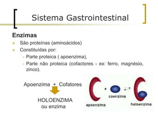 58
Sistema Gastrointestinal
Enzimas
 São proteínas (aminoácidos)
 Constituídas por:
• Parte proteica ( apoenzima),
• Parte não proteica (cofactores - ex: ferro, magnésio,
zinco).
Apoenzima + Cofatores
HOLOENZIMA
ou enzima
 