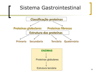 59
Sistema Gastrointestinal
Classificação proteínas
Proteínas globulares Proteínas fibrosas
Estrutura das proteínas
Primaria Secundaria Terciária Quaternária
ENZIMAS
Proteínas globulares
Estrutura terciária
 