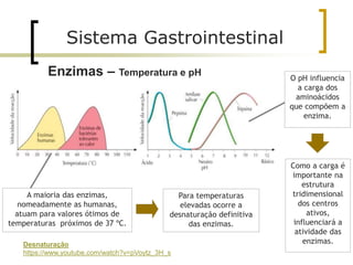 O pH influencia
a carga dos
aminoácidos
que compõem a
enzima.
A maioria das enzimas,
nomeadamente as humanas,
atuam para valores ótimos de
temperaturas próximos de 37 ºC.
Para temperaturas
elevadas ocorre a
desnaturação definitiva
das enzimas.
Como a carga é
importante na
estrutura
tridimensional
dos centros
ativos,
influenciará a
atividade das
enzimas.
Sistema Gastrointestinal
Enzimas – Temperatura e pH
Desnaturação
https://www.youtube.com/watch?v=pVoytz_3H_s
 