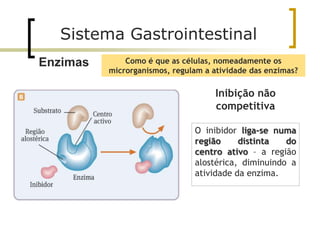 Como é que as células, nomeadamente os
microrganismos, regulam a atividade das enzimas?
Inibição não
competitiva
O inibidor liga-se numa
região distinta do
centro ativo – a região
alostérica, diminuindo a
atividade da enzima.
Sistema Gastrointestinal
Enzimas
 