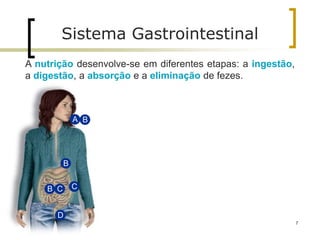 A nutrição desenvolve-se em diferentes etapas: a ingestão,
a digestão, a absorção e a eliminação de fezes.
A B
B
B C C
D
Sistema Gastrointestinal
7
 
