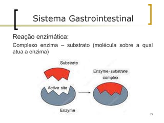 73
Sistema Gastrointestinal
Reação enzimática:
Complexo enzima – substrato (molécula sobre a qual
atua a enzima)
 