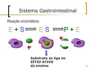 74
E + S E S P + E
Substrato se liga ao
SÍTIO ATIVO
da enzima
Sistema Gastrointestinal
Reação enzimática:
 