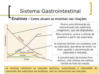 As enzimas catalizam as reacções químicas, aumentando a velocidade de
conversão dos substratos em produtos, sem se consumirem nas reacções.
Ocorre uma diminuição da
concentração dos substratos
(reagentes), que são degradados.
Pelo contrário, ocorre a síntese de
produtos a partir dos substratos.
As enzimas formam um complexo com
os substratos, que deixa de existir no
final, quando a concentração de
substratos é reduzida.
A concentração da enzima livre
diminui, mas retoma aos valores
iniciais no final da reação.
Enzimas - Como atuam as enzimas nas reações
Sistema Gastrointestinal
 