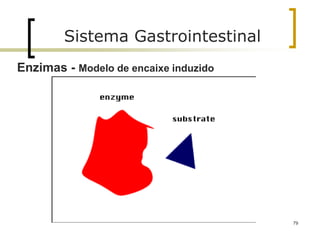 79
Sistema Gastrointestinal
Enzimas - Modelo de encaixe induzido
 