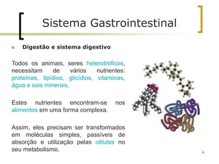 Sistema Gastrointestinal
 Digestão e sistema digestivo
Todos os animais, seres heterotróficos,
necessitam de vários nutrientes:
proteínas, lipídios, glicídios, vitaminas,
água e sais minerais.
Estes nutrientes encontram-se nos
alimentos em uma forma complexa.
Assim, eles precisam ser transformados
em moléculas simples, passíveis de
absorção e utilização pelas células no
seu metabolismo. 8
 