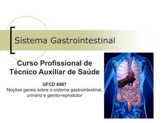 Sistema Gastrointestinal
Curso Profissional de
Técnico Auxiliar de Saúde
UFCD 6567
Noções gerais sobre o sistema gastrointestinal,
urinário e genito-reprodutor
 