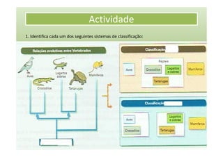 Actividade
1. Identifica cada um dos seguintes sistemas de classificação:
 