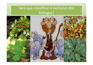 Será que classificar é exclusivo dos
            biólogos?
 