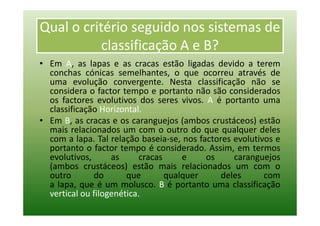 Qual o critério seguido nos sistemas de
           classificação A e B?
• Em A, as lapas e as cracas estão ligadas devido a terem
  conchas cónicas semelhantes, o que ocorreu através de
  uma evolução convergente. Nesta classificação não se
  considera o factor tempo e portanto não são considerados
  os factores evolutivos dos seres vivos. A é portanto uma
  classificação Horizontal.
• Em B, as cracas e os caranguejos (ambos crustáceos) estão
  mais relacionados um com o outro do que qualquer deles
  com a lapa. Tal relação baseia-se, nos factores evolutivos e
  portanto o factor tempo é considerado. Assim, em termos
  evolutivos,      as      cracas     e    os     caranguejos
  (ambos crustáceos) estão mais relacionados um com o
  outro       do       que        qualquer     deles      com
  a lapa, que é um molusco. B é portanto uma classificação
  vertical ou filogenética.
 