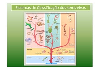 Sistemas de Classificação dos seres vivos
 